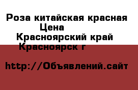 Роза китайская красная › Цена ­ 1 500 - Красноярский край, Красноярск г.  »    
